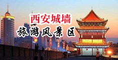 中国黄色网站男人和女人日逼中国陕西-西安城墙旅游风景区