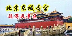 男操女阴道网站中国北京-东城古宫旅游风景区